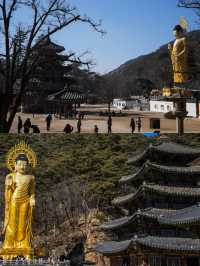 韓國瑞山的旅遊攻略