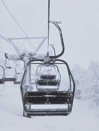 Exploring Nagano's Shiga Kogen Ski Resort: Yokoteyama & Shibutoge