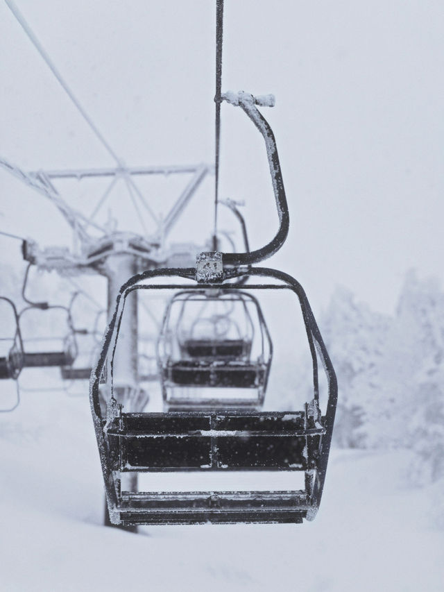 Exploring Nagano's Shiga Kogen Ski Resort: Yokoteyama & Shibutoge