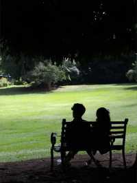 Discover the Ancient City of Kandy in Sri Lanka