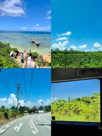 宜野灣市：沖繩魅力的絕佳詮釋