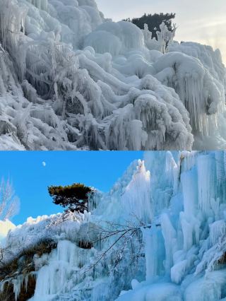 It's not that Harbin is unaffordable, but that the Pingdu Icefall is more cost-effective.