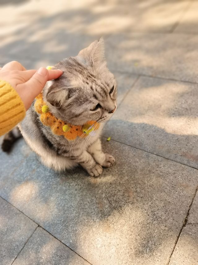 番禺遊之西坊大院