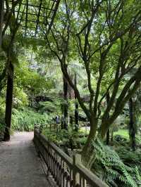 Discover Auckland's Domain Wintergardens: A Free Floral Escape