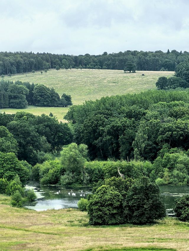 Explore the Charm of Harewood House