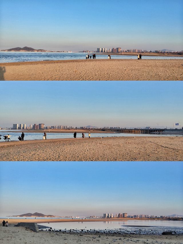 夢幻般的粉色沙灘·海鷗在落日餘暉下翩翩起舞