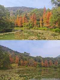 圭峰山：半城煙火半城仙的人間仙境