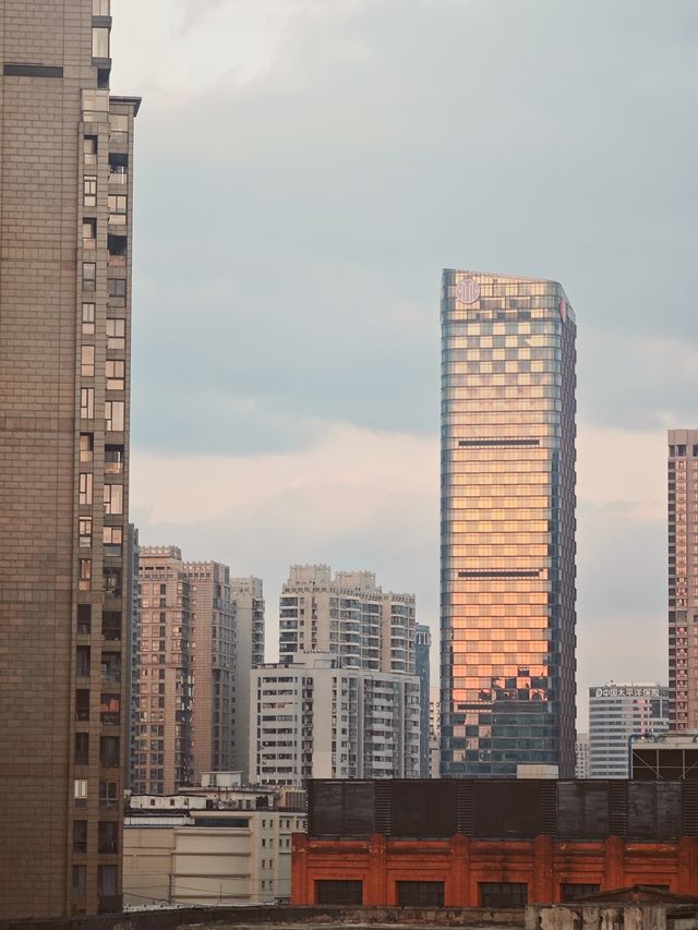 蘇河皓司的露台