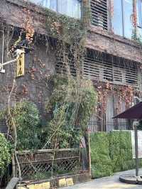 雲浮新興｜禪域小鎮-廟街步行街打卡