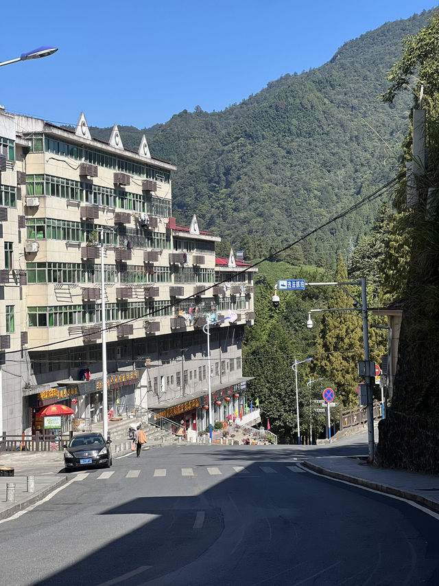 Some eye catching photos from Jinggangshan Mountain