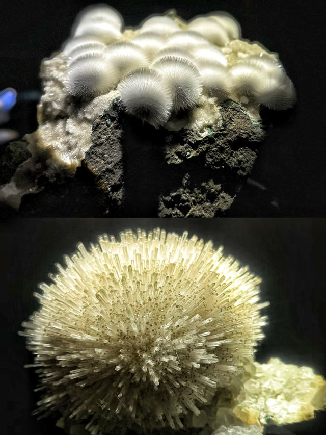 宇宙的星辰🪐休斯頓自然科學博物館