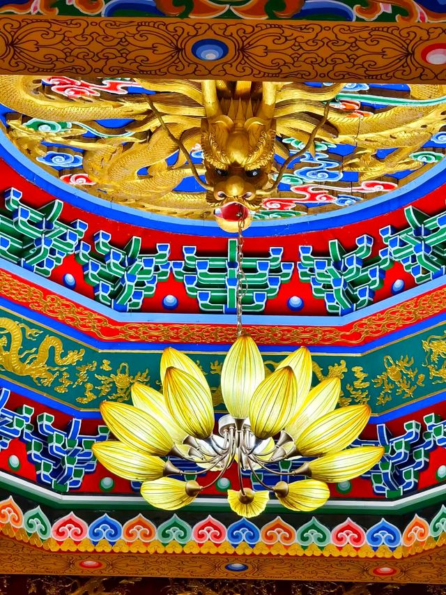 青白江區    城廂壽佛寺