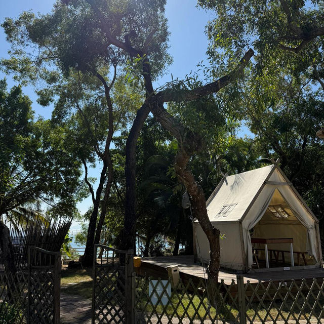 🌴不是版纳，深圳竟藏著這般熱帶雨林度假民宿！