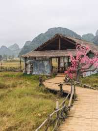 7日穿越雲南昆明-建水-元陽 超詳細攻略來襲