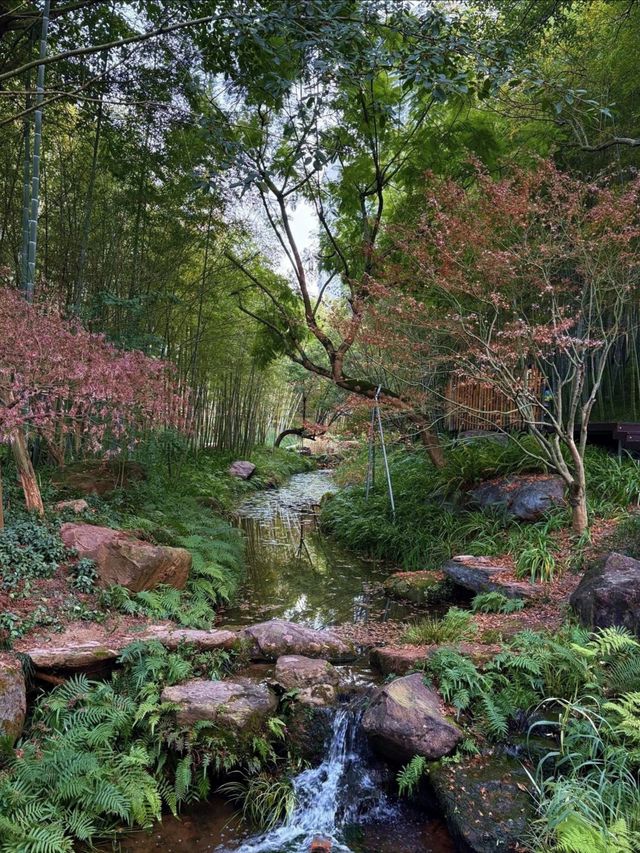 成都地鐵直達的絕美城市公園——紅石公園