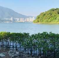 秘境漫步：新界鹿頸至谷埔的溫馨之旅🌸