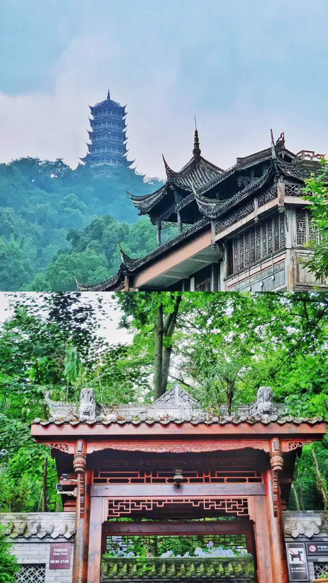 ดีลีเรอบาเยือนถึงที่! สำรวจหุบเขาแพนด้าเฉิงตู