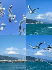 探秘日本三島市：山海間的小眾寶藏