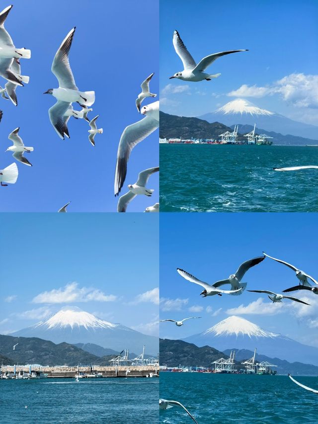 探秘日本三島市：山海間的小眾寶藏