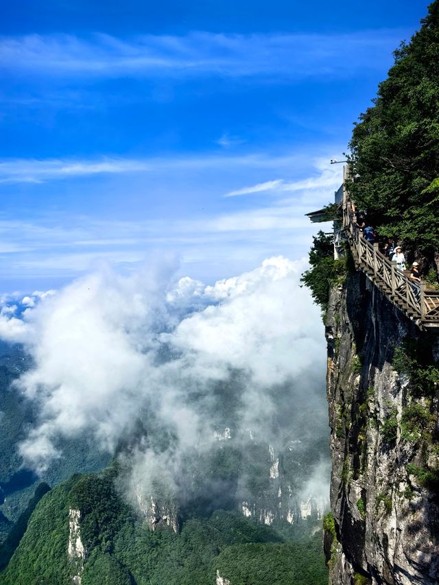 空中花園天門山