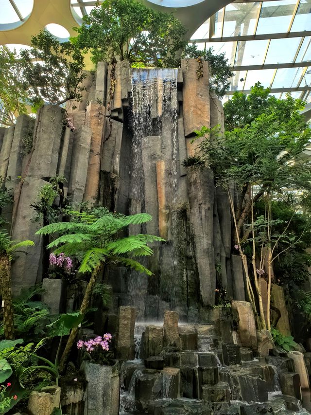 上海植物園，玻璃穹頂下的植物百科。