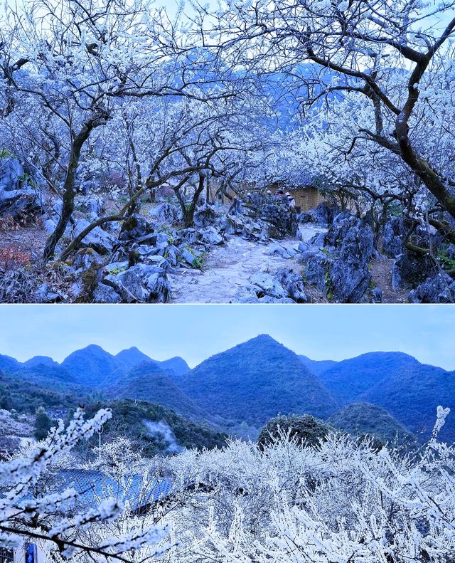 清遠水浪花谷盛花期美爆！