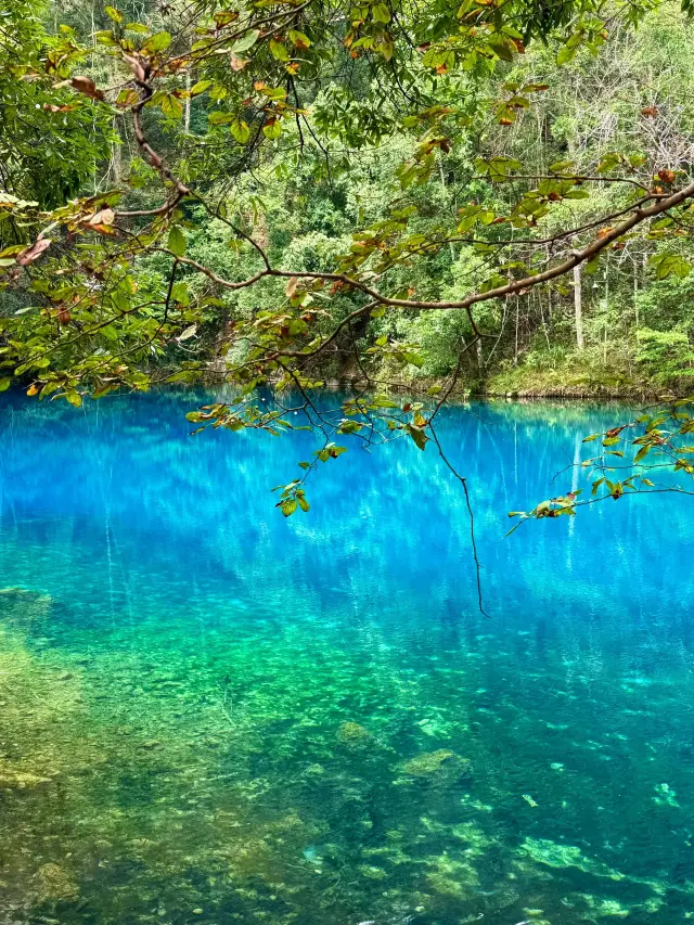 3-Day Tour of Guiyang-Libo-Xijiang Qianhu Miao Village: An Amazing Journey