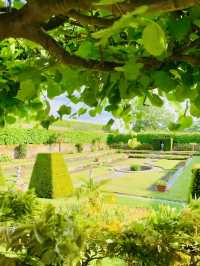 Hampton Court Palace  🌳