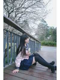 成都春日限定｜白梅花與JK少女，美得犯規！