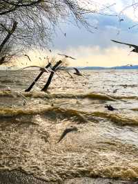 撈魚河濕地公園生存指南：如何完美仆街！