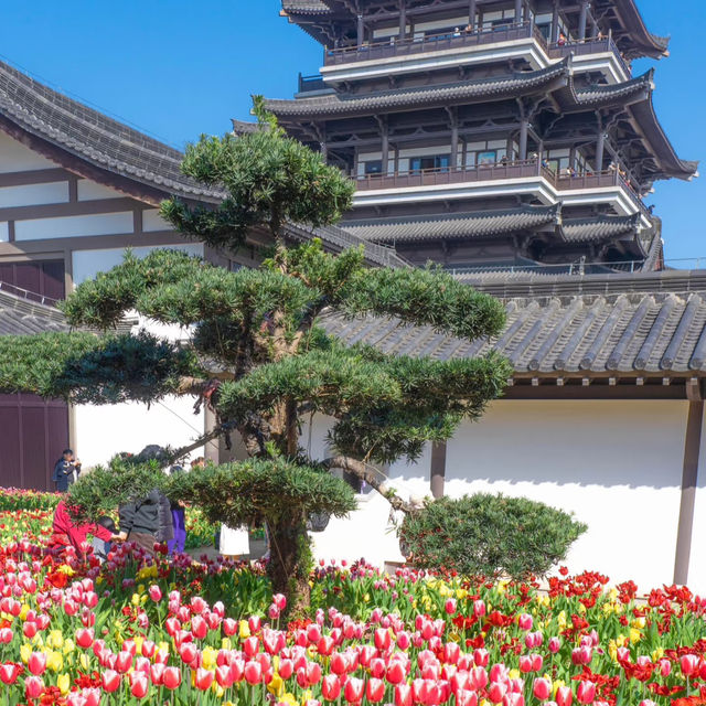 邂逅廣州藝術博物院，擁抱春天的色彩盛宴🌷