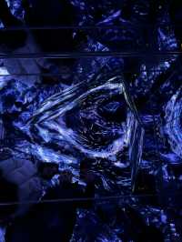 🎇A Digital Wonderland in Tokyo (TeamLab Borderless) 🎨    