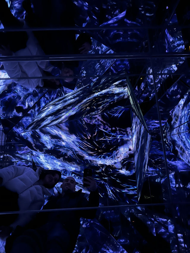 🎇A Digital Wonderland in Tokyo (TeamLab Borderless) 🎨    