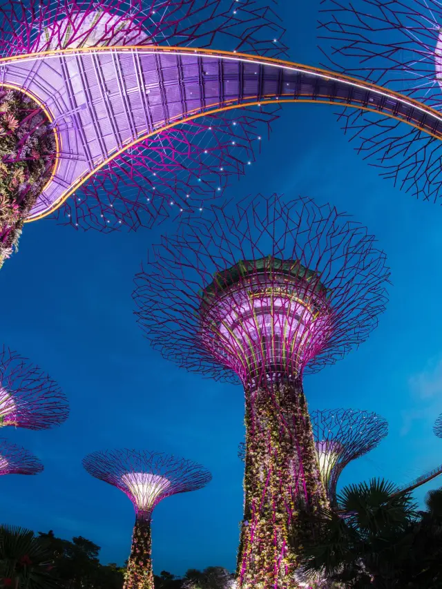 Spring Outing for Qingming Festival: Multi-Country Trips Including Indonesia Are Perfect Now