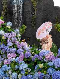 《深圳市天台的繡球花園》