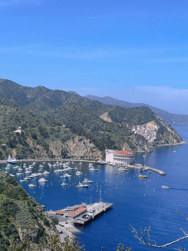 聖卡塔利娜島