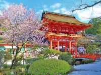 京都必逛！古老神社賀茂神社邂逅浪漫櫻花