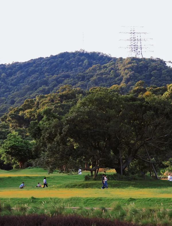 恩上水庫徒步攻略 | 遇絕美海景&綠意濕地🌿
