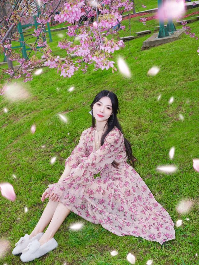 成都春日賞花天花板｜闖入漫畫裡的春天