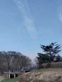 魚嘴濕地公園：邂逅江邊的自然秘境