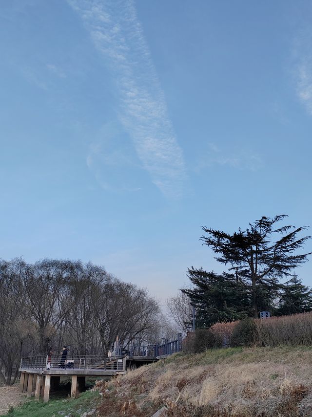 魚嘴濕地公園：邂逅江邊的自然秘境