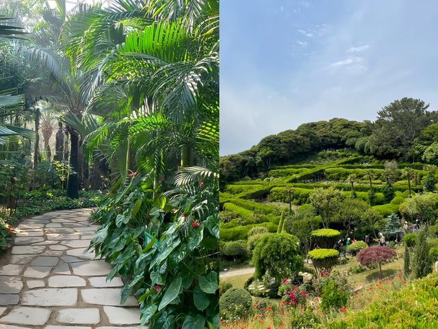 闖入韓劇同款夢幻綠野韓國巨濟植物園探秘