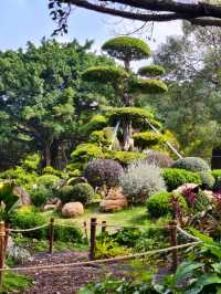 遊玩休閒好去處——南湖公園
