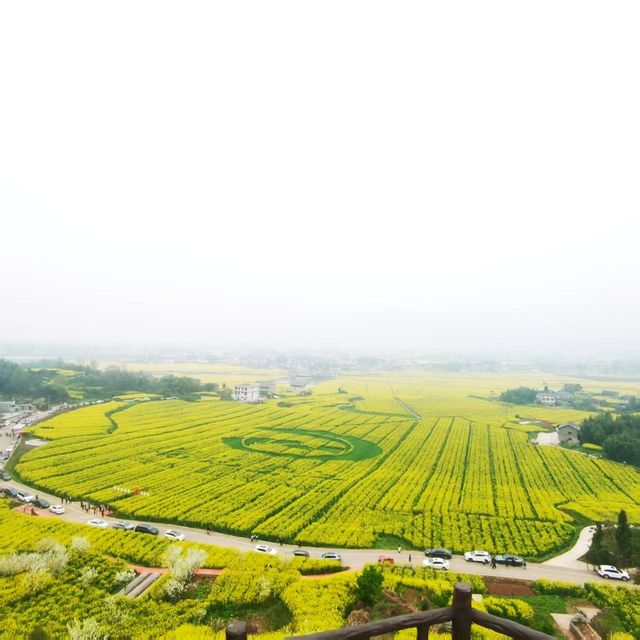 重慶墊江萬畝油菜花田