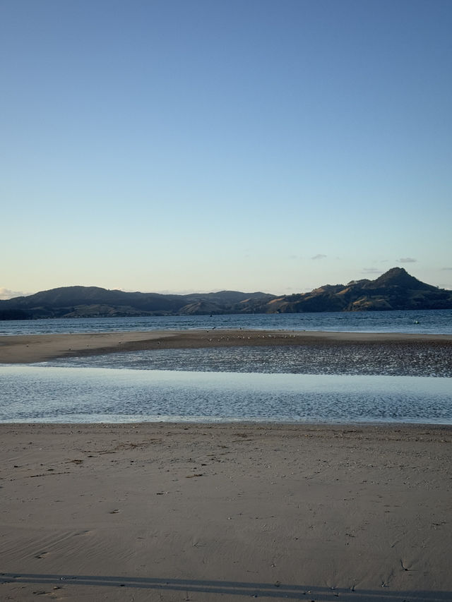 Heaven On Earth At The Coromandel, North Island NZ 