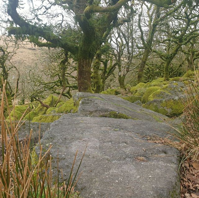 Dartmoor National Park