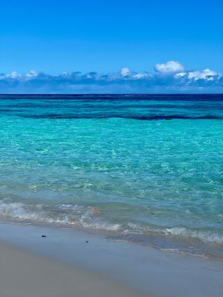 美國 Citywalk 漫遊指南 別錯過