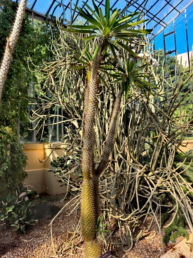 走進植物王國