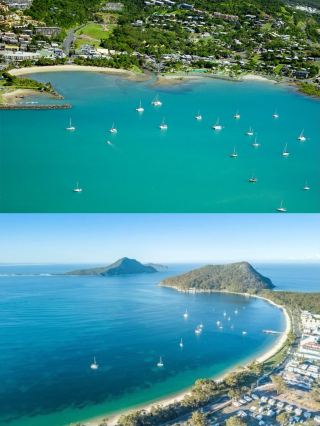 Head to Gladstone to meet the flowers of the Southern Hemisphere