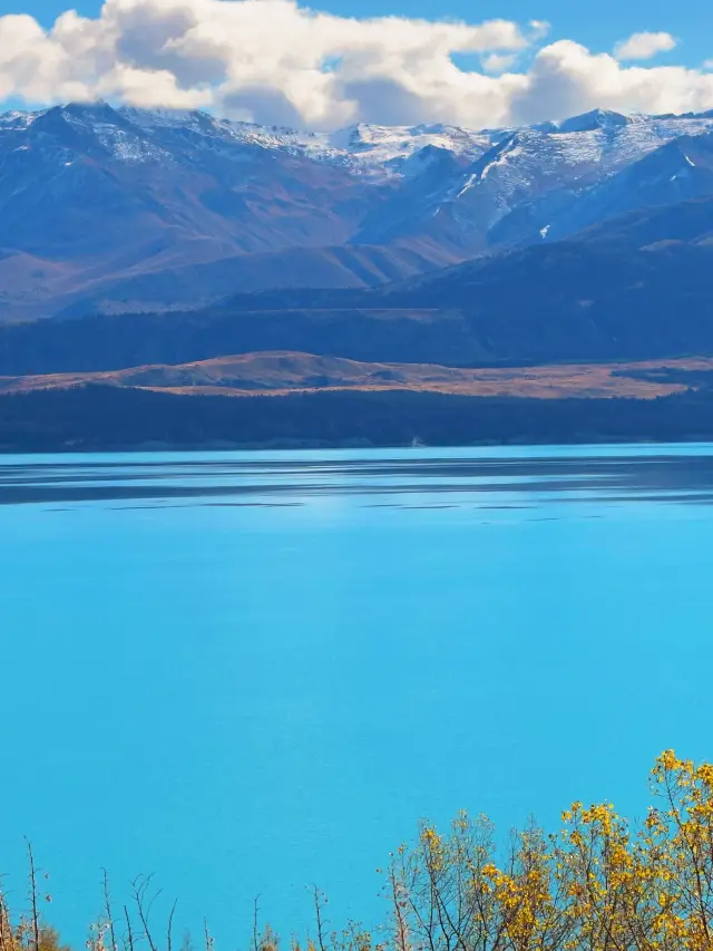 10-Day New Zealand Tour for Seniors